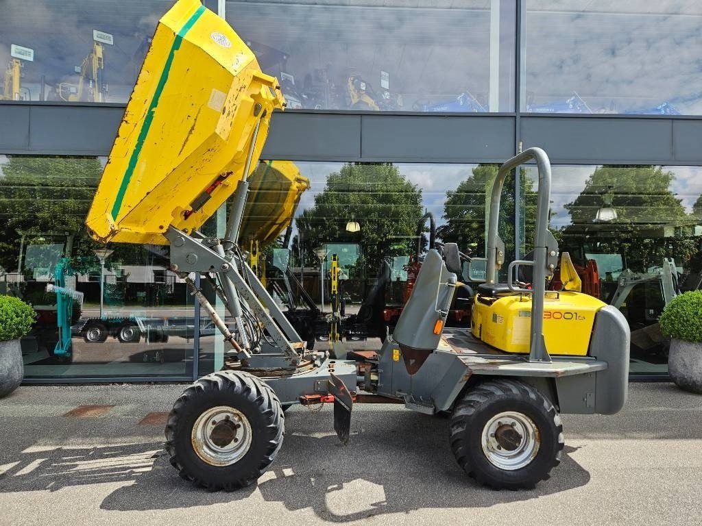 Muldenkipper of the type Wacker Neuson 3001hs, Gebrauchtmaschine in Fårevejle (Picture 5)