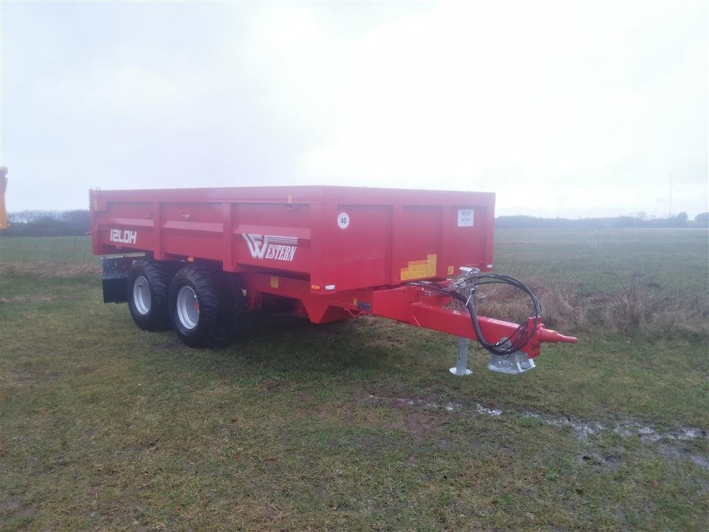 Muldenkipper des Typs Western WF12LD Hardox Lav læssehøjde, Gebrauchtmaschine in Mariager (Bild 1)