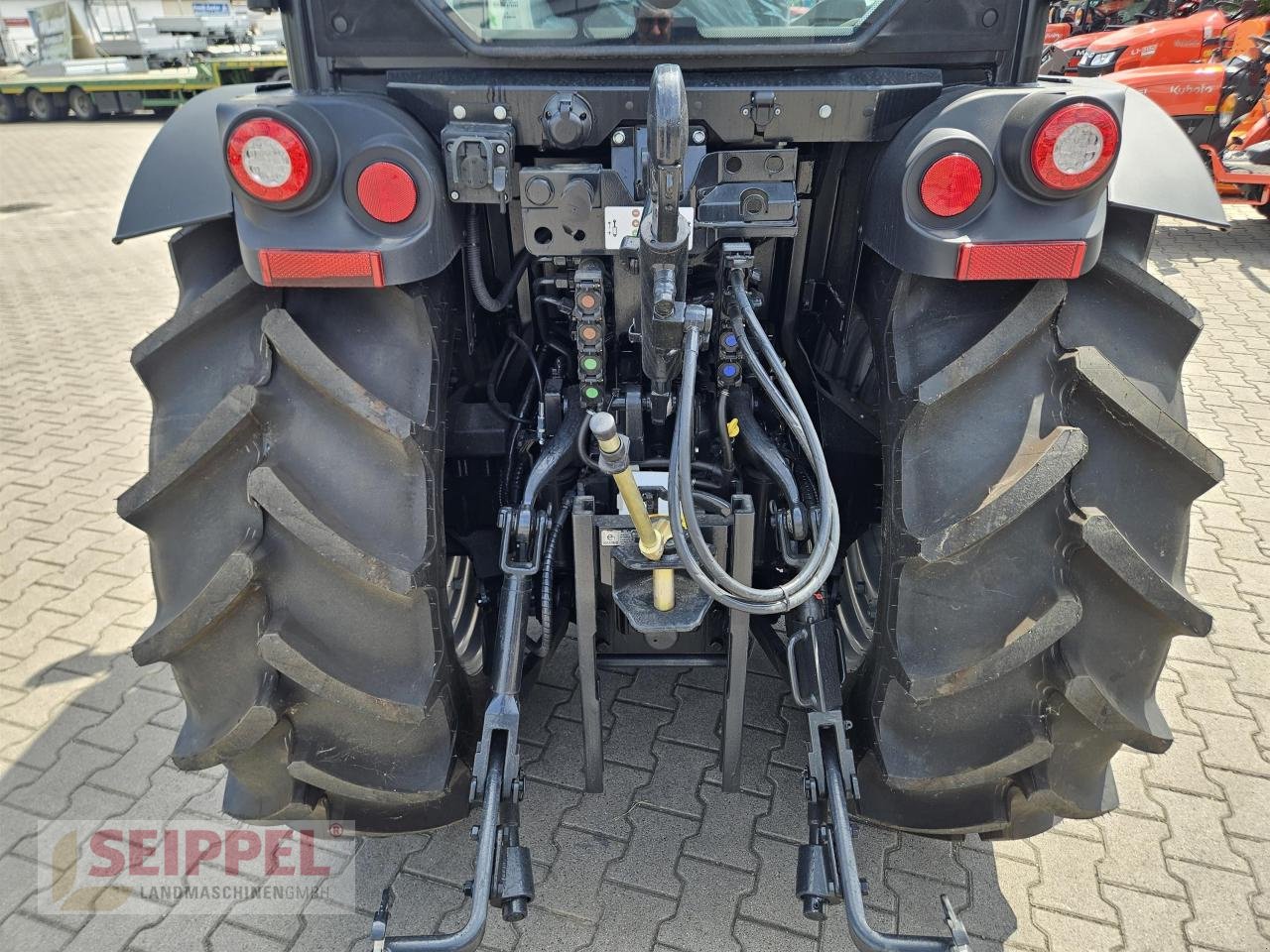 Obstbautraktor del tipo Case IH QUANTUM 100 F, Neumaschine In Groß-Umstadt (Immagine 5)