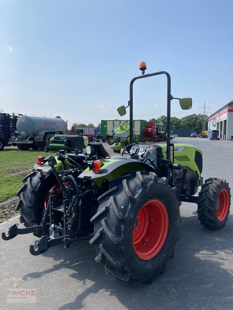 Obstbautraktor typu CLAAS Nexos 240 XL Plattform Classic, Neumaschine w Bockel - Gyhum (Zdjęcie 2)