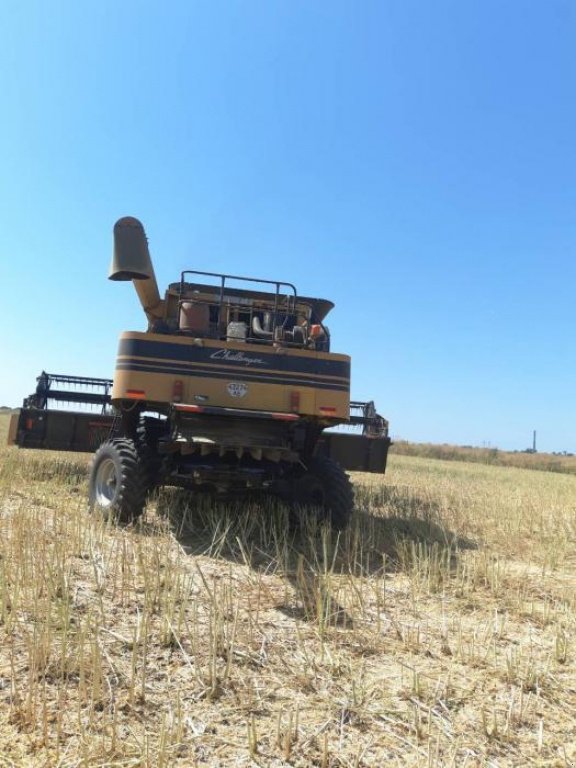 Oldtimer-Mähdrescher typu CHALLENGER CH670B, Neumaschine v Київ (Obrázek 1)