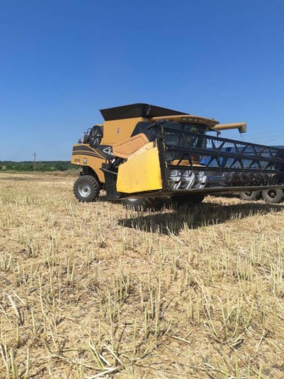 Oldtimer-Mähdrescher typu CHALLENGER CH670B, Neumaschine v Київ (Obrázek 2)