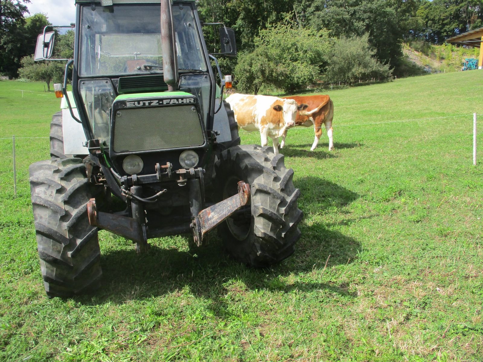 Oldtimer-Traktor del tipo Deutz-Fahr Deutz, Gebrauchtmaschine en Altenmarkt (Imagen 7)