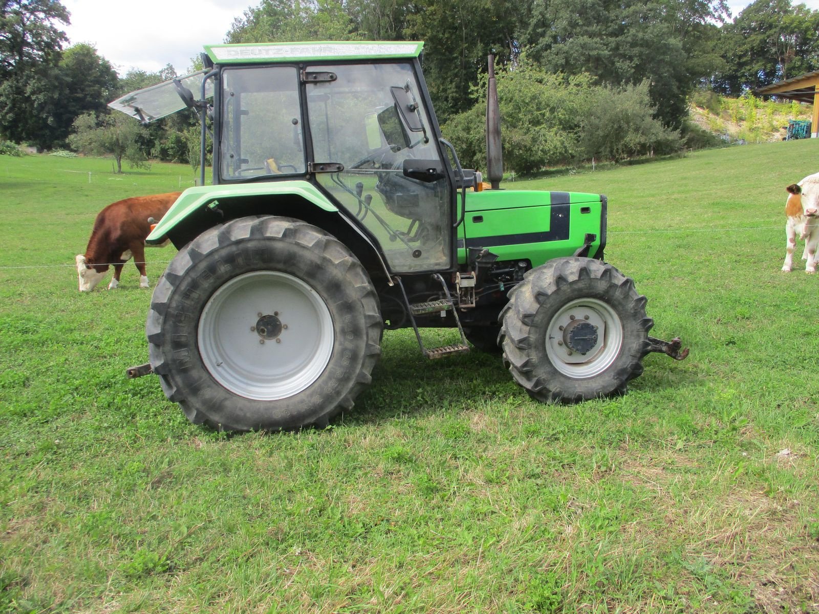 Oldtimer-Traktor del tipo Deutz-Fahr Deutz, Gebrauchtmaschine en Altenmarkt (Imagen 3)