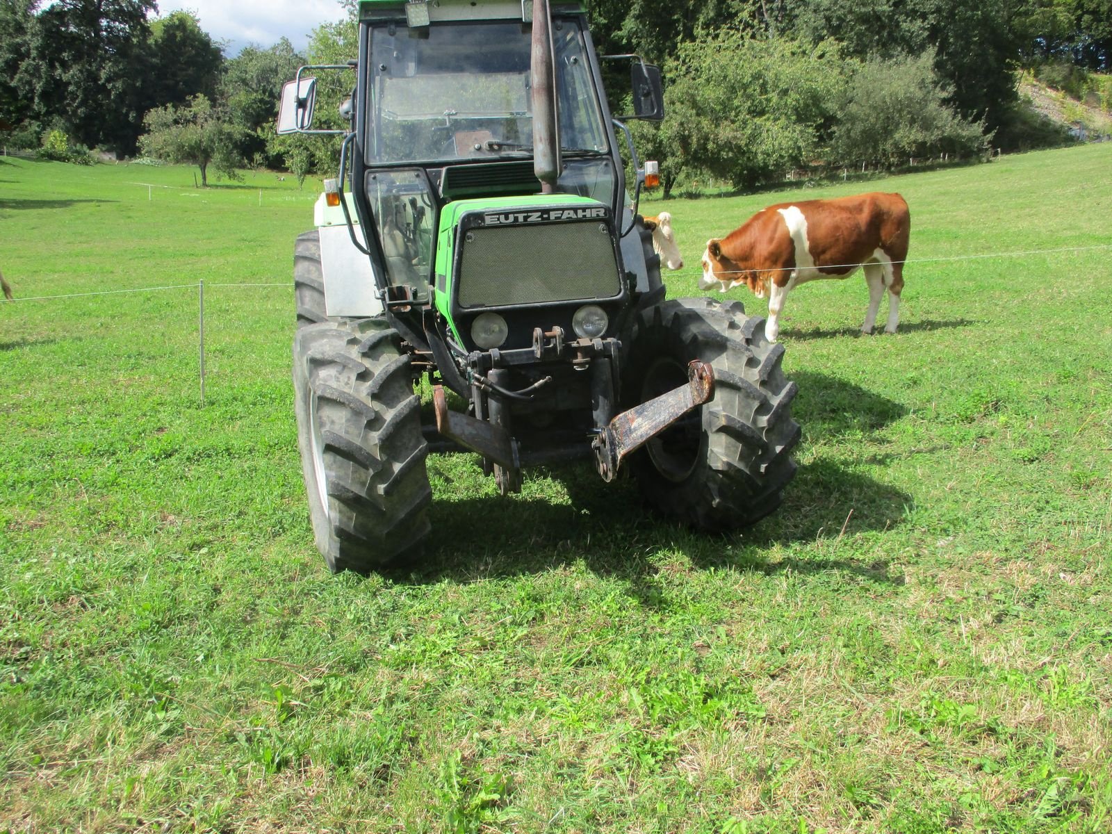 Oldtimer-Traktor del tipo Deutz-Fahr Deutz, Gebrauchtmaschine en Altenmarkt (Imagen 6)