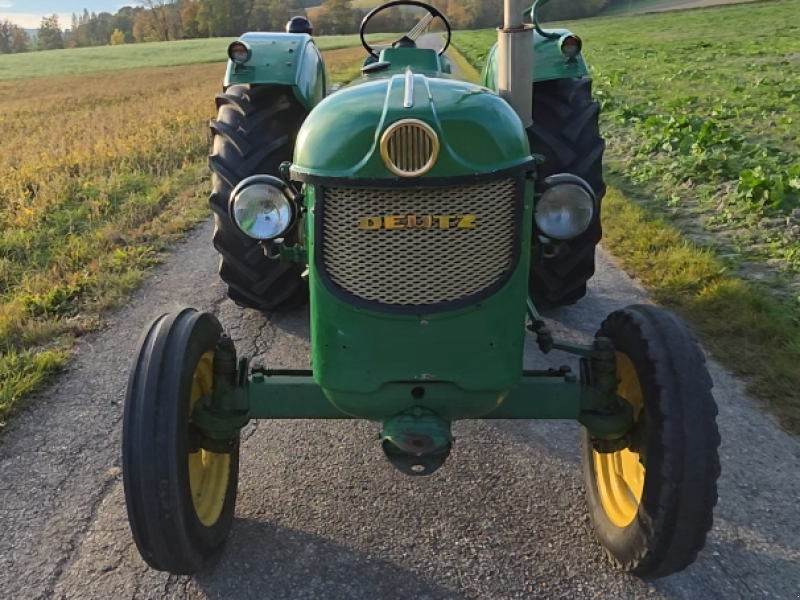 Oldtimer-Traktor des Typs Deutz D55, Gebrauchtmaschine in Ried im Innkreis (Bild 1)