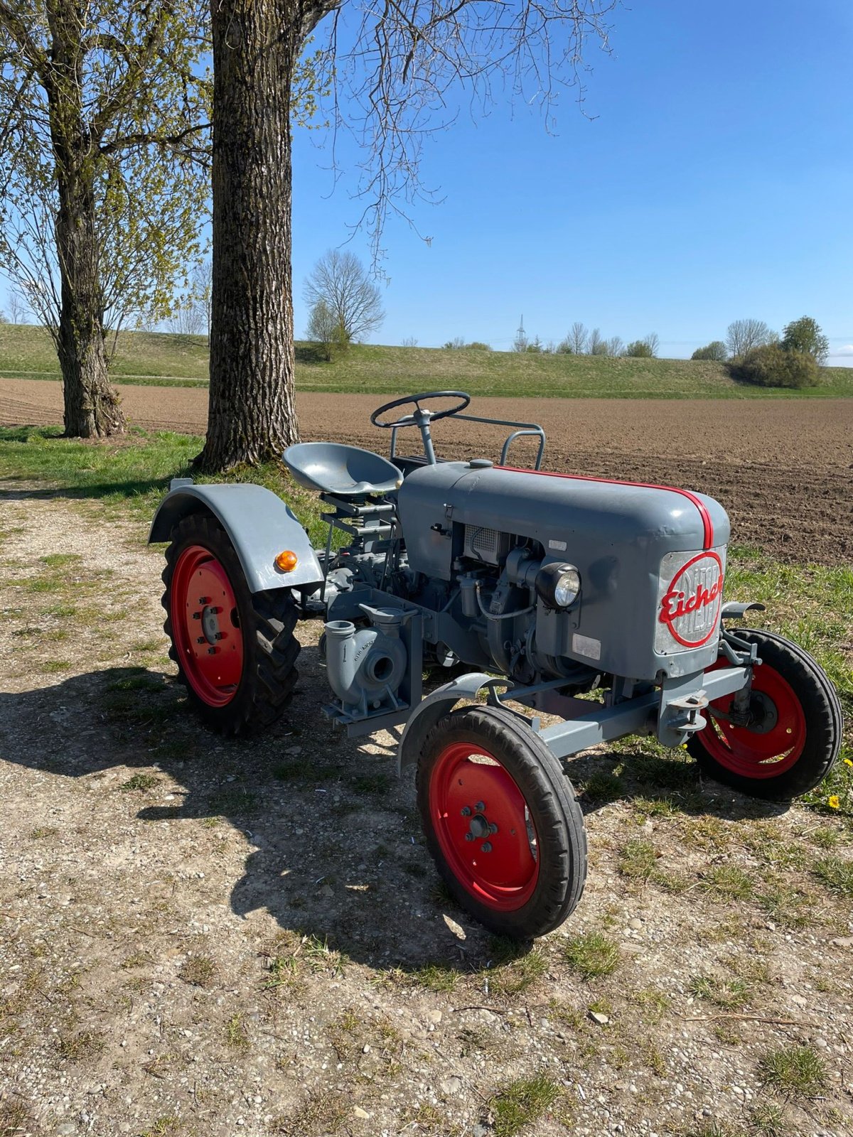 Oldtimer-Traktor typu Eicher LH12, Gebrauchtmaschine v reisen / eitting (Obrázek 1)