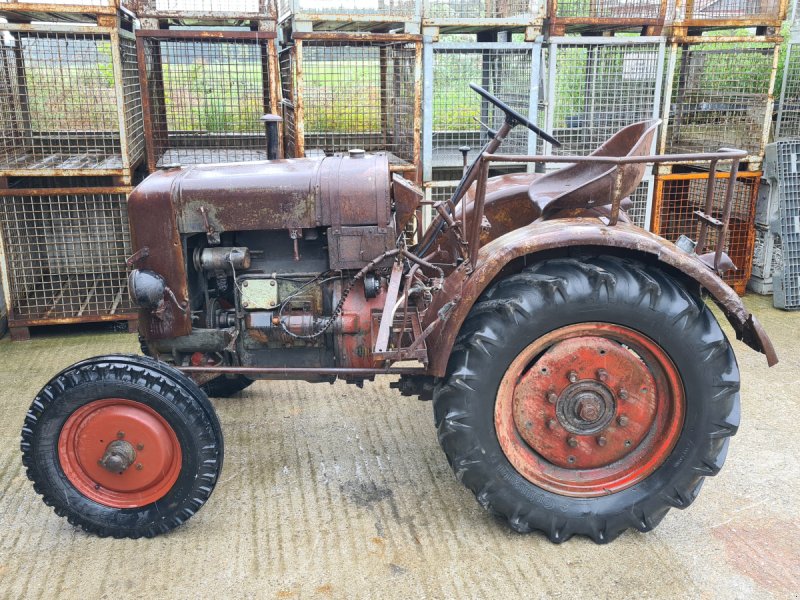 Oldtimer-Traktor des Typs Fendt Dieselross F22, Gebrauchtmaschine in Palling (Bild 1)