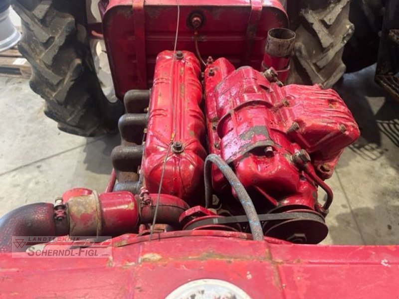 Oldtimer-Traktor tipa GS International D 440, Gebrauchtmaschine u St.Margarethen (Slika 10)