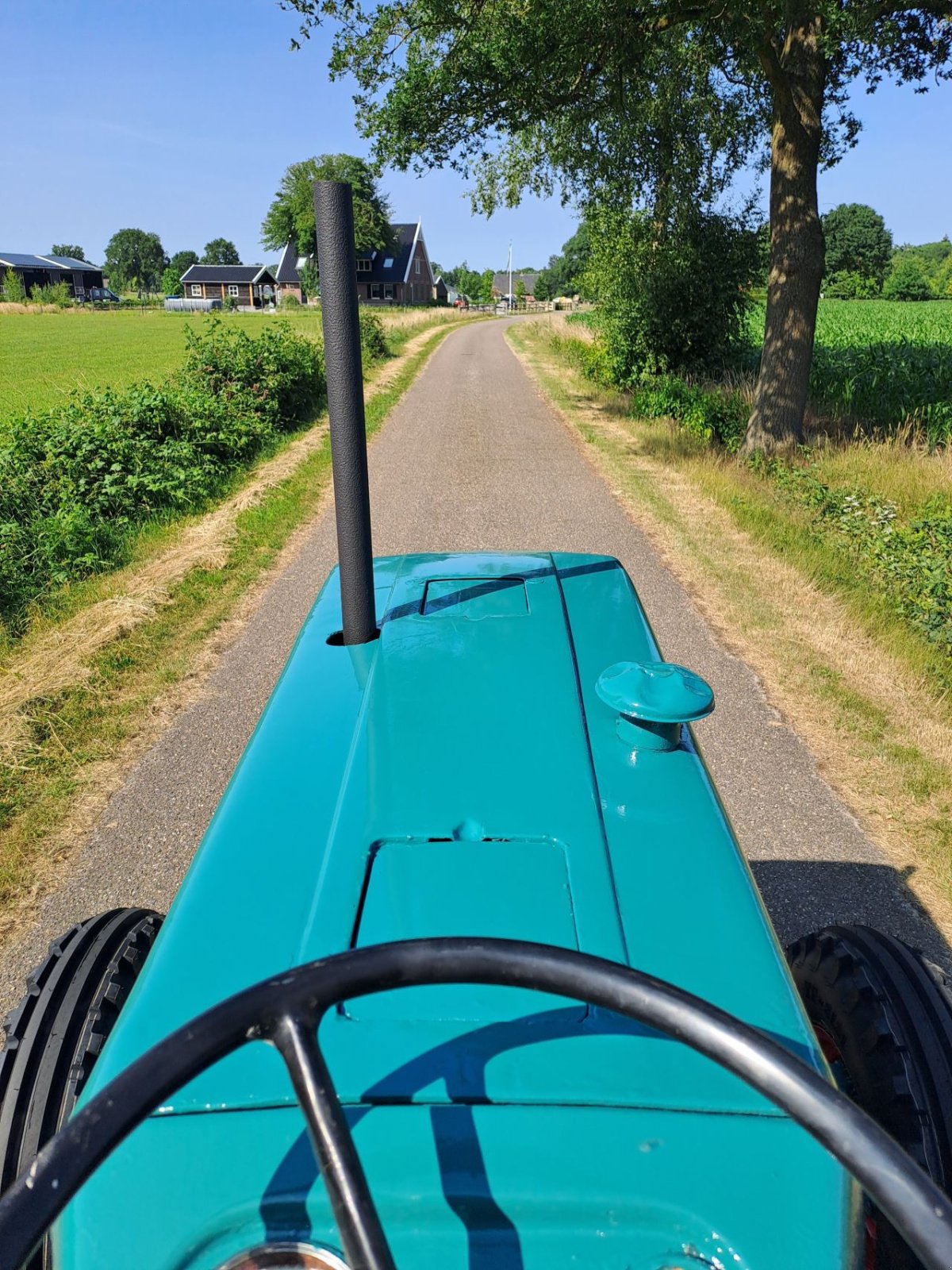 Oldtimer-Traktor typu Hanomag Granit 501E, Gebrauchtmaschine v Wierden (Obrázek 11)