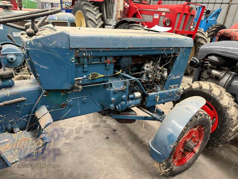 Oldtimer-Traktor des Typs Hanomag Hanomag Perfekt 301 bj 1965, Gebrauchtmaschine in Schutterzell (Bild 1)