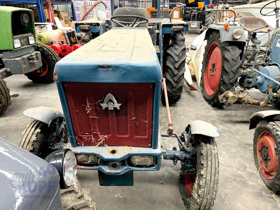 Oldtimer-Traktor des Typs Hanomag Hanomag Perfekt 301 bj 1965, Gebrauchtmaschine in Schutterzell (Bild 2)