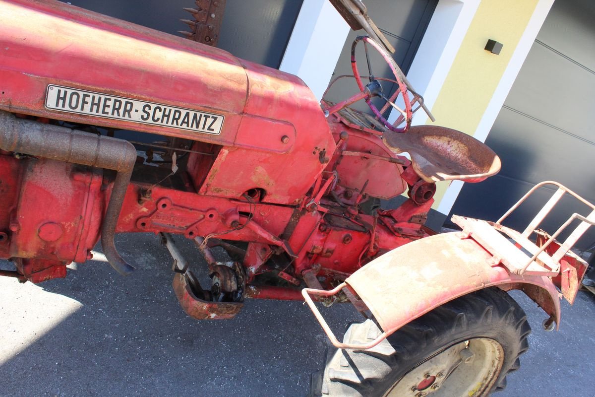 Oldtimer-Traktor typu Hofherr Schrantz Schrantz Austro Junior, Gebrauchtmaschine v Pischelsdorf (Obrázek 5)