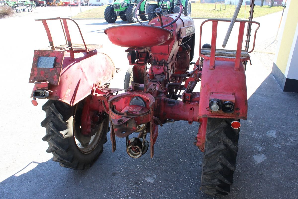 Oldtimer-Traktor typu Hofherr Schrantz Schrantz Austro Junior, Gebrauchtmaschine v Pischelsdorf (Obrázek 4)