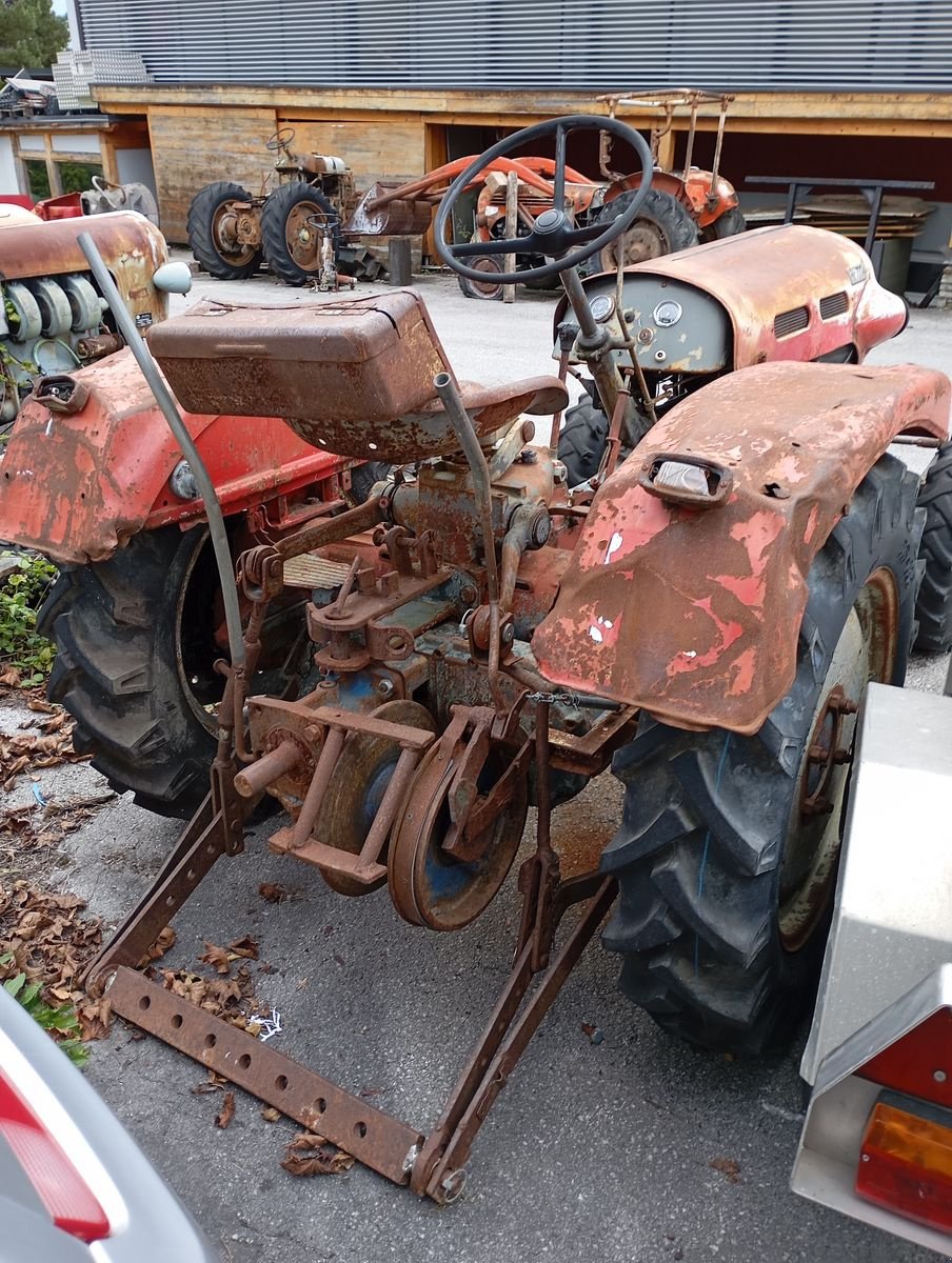 Oldtimer-Traktor του τύπου Lindner BF 22 A, Gebrauchtmaschine σε Stainach (Φωτογραφία 8)