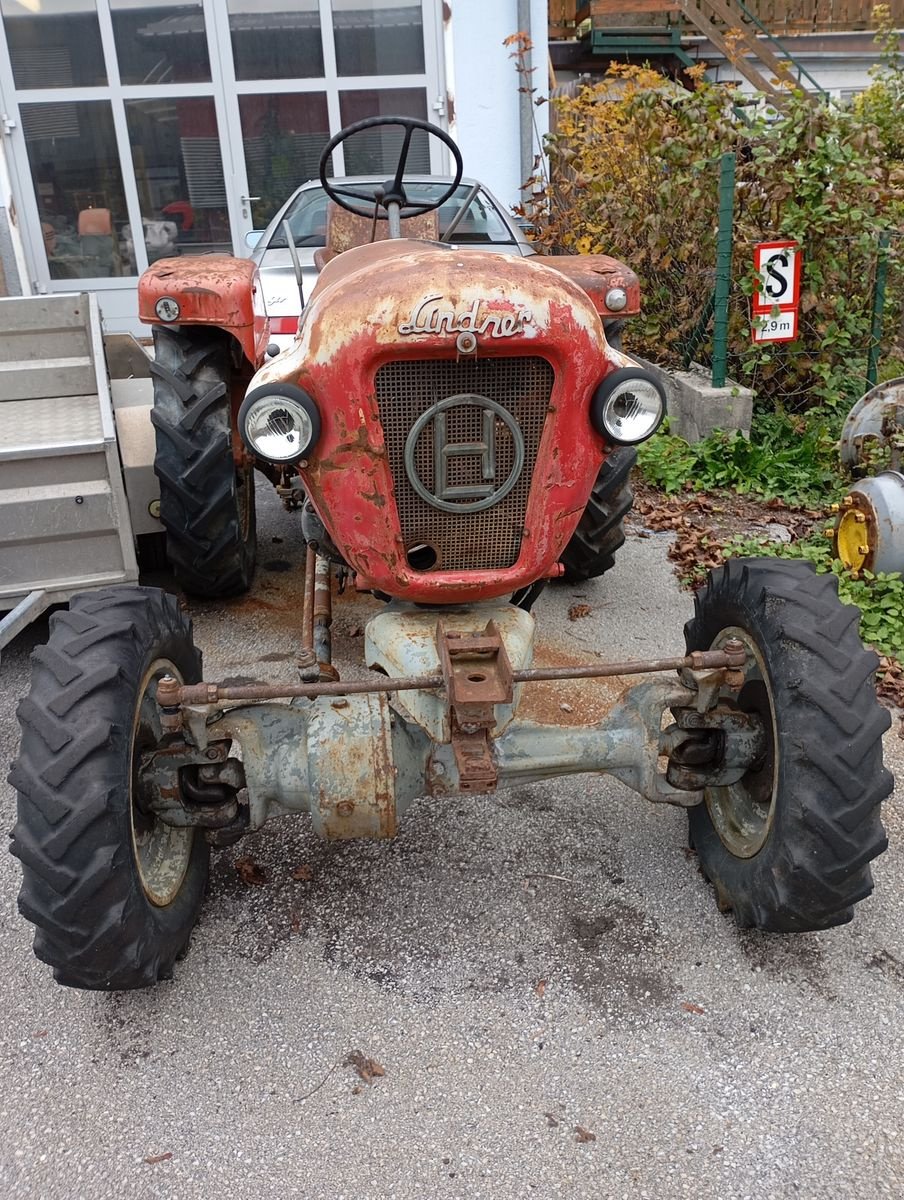 Oldtimer-Traktor του τύπου Lindner BF 22 A, Gebrauchtmaschine σε Stainach (Φωτογραφία 4)