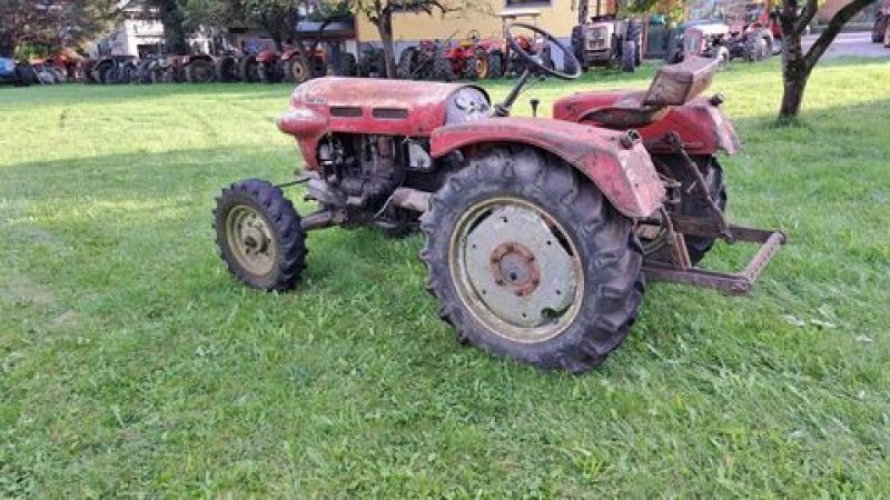 Oldtimer-Traktor του τύπου Lindner BF 22 A, Gebrauchtmaschine σε Stainach (Φωτογραφία 2)