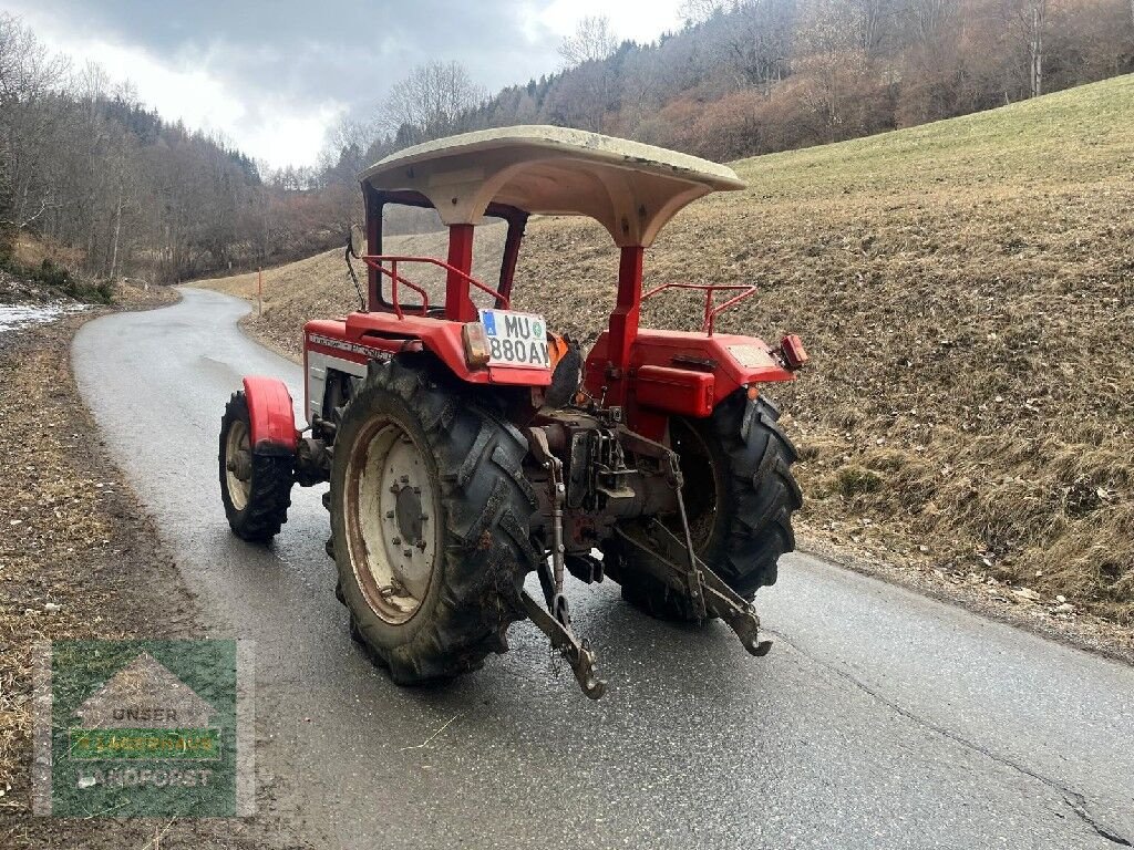 Oldtimer-Traktor del tipo Lindner BF450, Gebrauchtmaschine en Murau (Imagen 6)