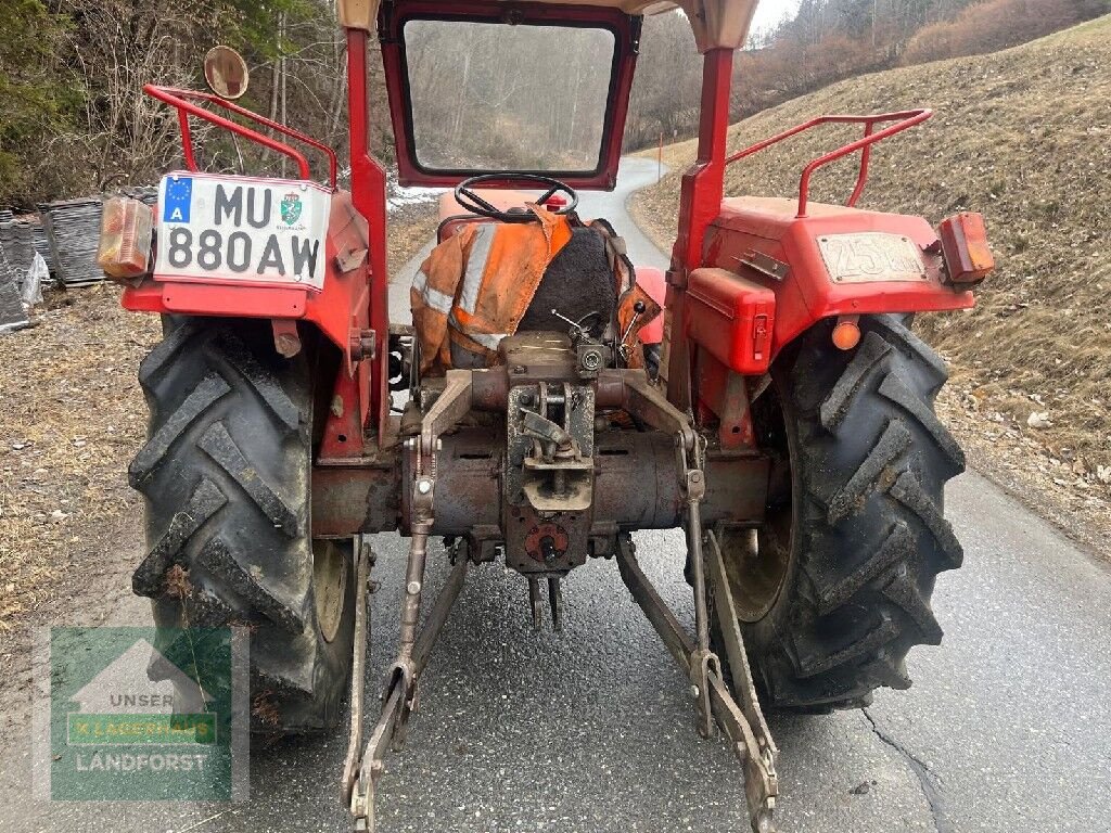 Oldtimer-Traktor del tipo Lindner BF450, Gebrauchtmaschine en Murau (Imagen 5)