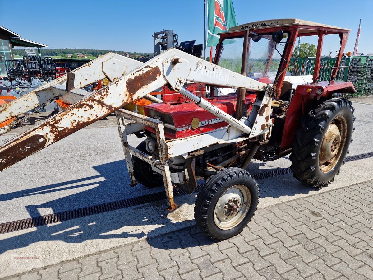 Oldtimer-Traktor des Typs Massey Ferguson 135/6 Super, Gebrauchtmaschine in Tarsdorf (Bild 2)