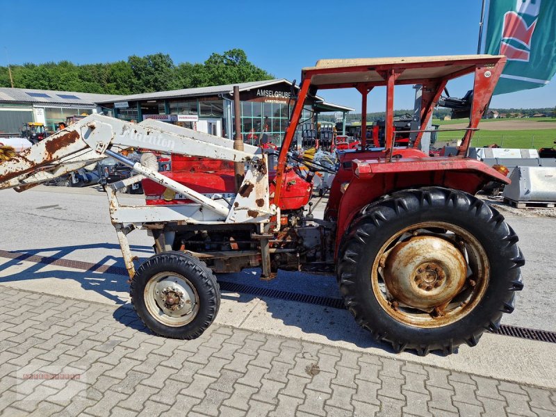 Oldtimer-Traktor a típus Massey Ferguson 135/6 Super, Gebrauchtmaschine ekkor: Tarsdorf (Kép 1)