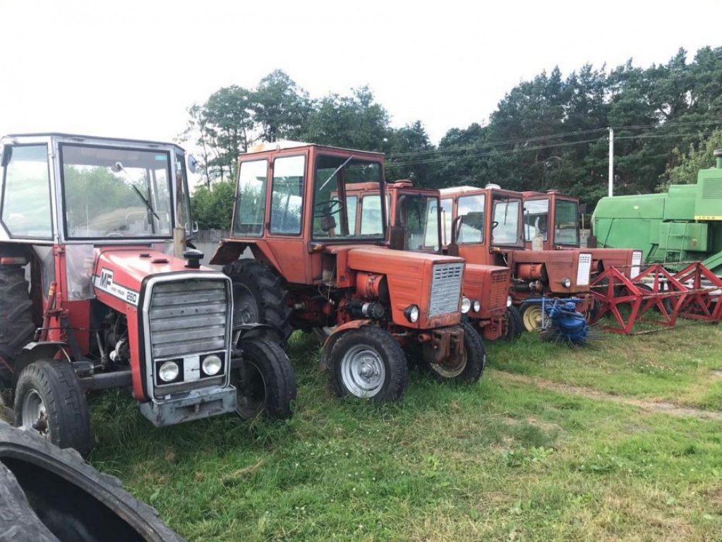 Oldtimer-Traktor des Typs Massey Ferguson 260, Neumaschine in Червоноград (Bild 3)