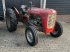 Oldtimer-Traktor a típus Massey Ferguson 35, Gebrauchtmaschine ekkor: Moerkapelle (Kép 1)