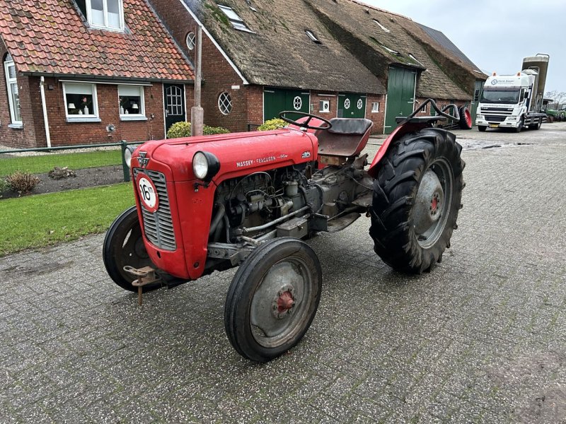 Oldtimer-Traktor des Typs Massey Ferguson 35, Gebrauchtmaschine in Staphorst (Bild 1)