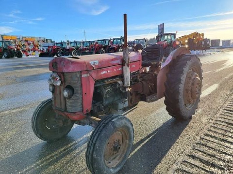 Oldtimer-Traktor del tipo Massey Ferguson 65X, Gebrauchtmaschine en NATTERNBACH (Imagen 1)