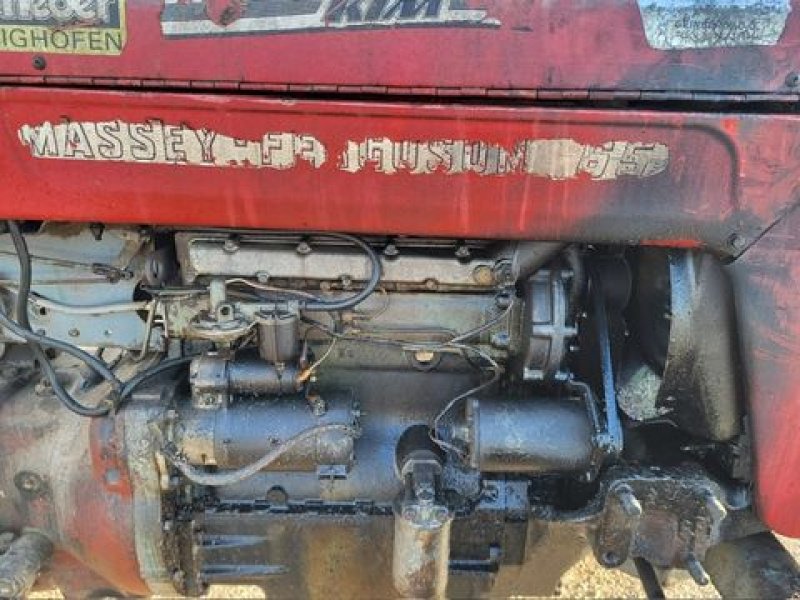 Oldtimer-Traktor del tipo Massey Ferguson 65X, Gebrauchtmaschine en NATTERNBACH (Imagen 3)