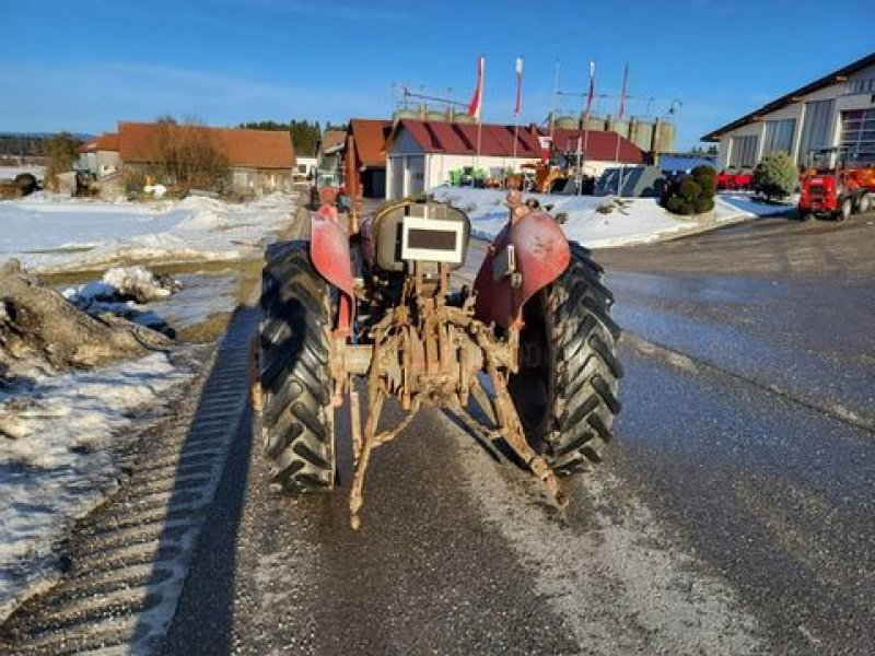 Oldtimer-Traktor del tipo Massey Ferguson 65X, Gebrauchtmaschine en NATTERNBACH (Imagen 4)