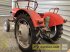 Oldtimer-Traktor des Typs Massey Ferguson MF 30 OLDTIMER, Gebrauchtmaschine in Schwend (Bild 15)