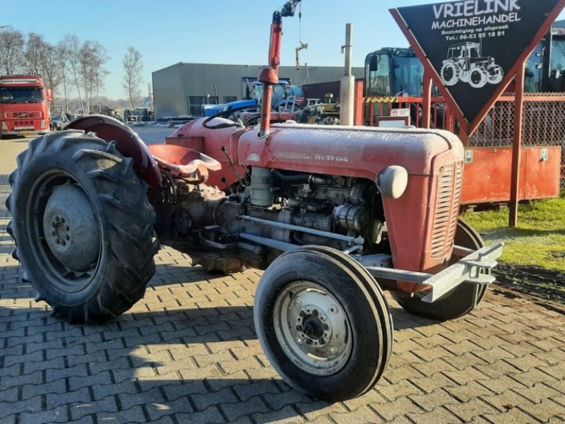 Oldtimer-Traktor typu Massey Ferguson MF 35, Gebrauchtmaschine w Schoonebeek (Zdjęcie 1)