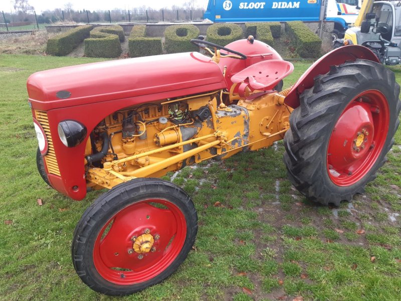 Oldtimer-Traktor tip Massey Ferguson TED, Gebrauchtmaschine in Didam (Poză 1)