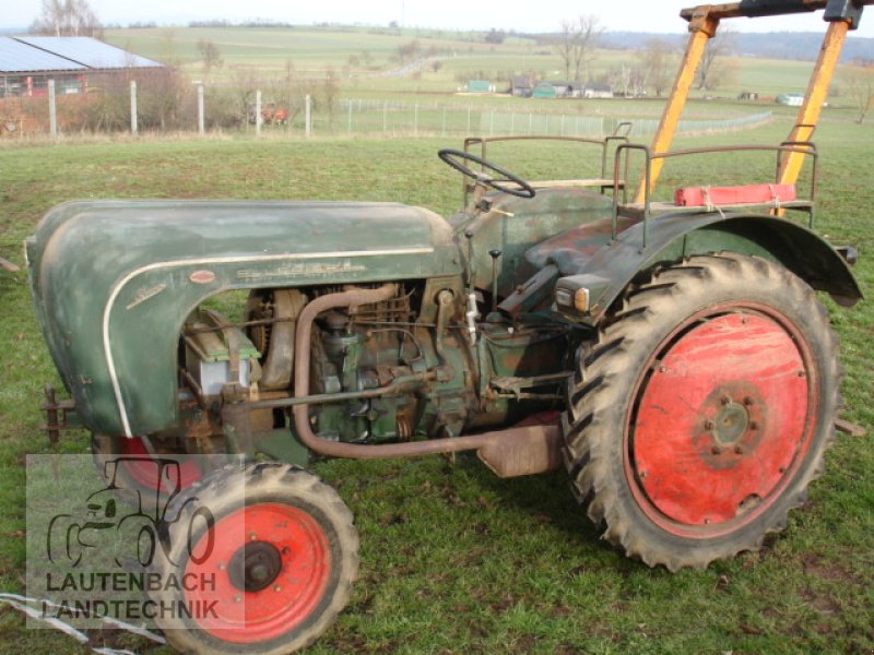 Oldtimer-Traktor typu Porsche Allgaier AP 16, Gebrauchtmaschine v Rollshausen (Obrázek 3)