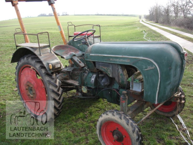 Oldtimer-Traktor des Typs Porsche Allgaier AP 16, Gebrauchtmaschine in Rollshausen (Bild 1)