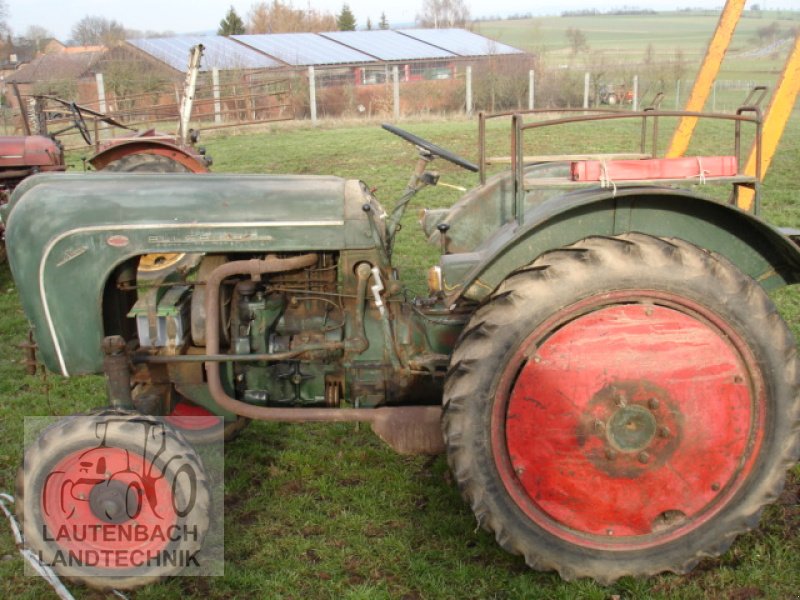 Oldtimer-Traktor des Typs Porsche Allgaier AP 16, Gebrauchtmaschine in Rollshausen (Bild 2)