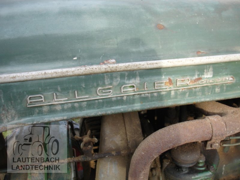 Oldtimer-Traktor a típus Porsche Allgaier AP 16, Gebrauchtmaschine ekkor: Rollshausen (Kép 5)