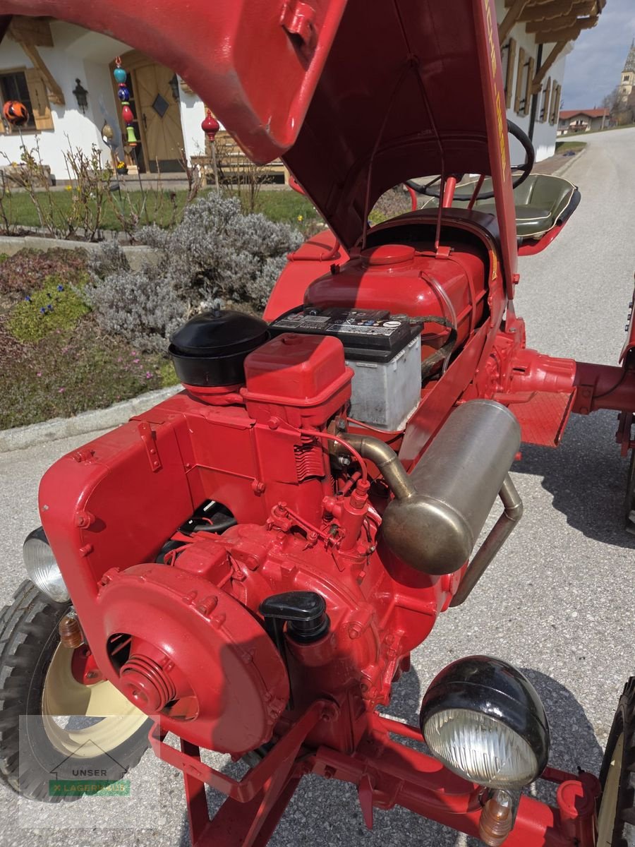 Oldtimer-Traktor типа Porsche Junior, Gebrauchtmaschine в Schlitters (Фотография 8)