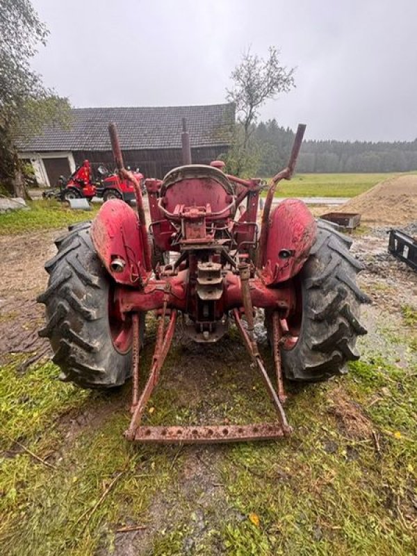 Oldtimer-Traktor tipa Sonstige Valmet 565, Gebrauchtmaschine u NATTERNBACH (Slika 4)