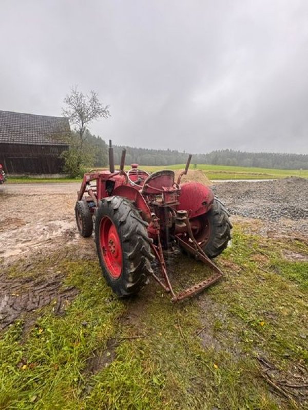 Oldtimer-Traktor tipa Sonstige Valmet 565, Gebrauchtmaschine u NATTERNBACH (Slika 3)