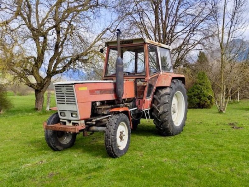 Oldtimer-Traktor des Typs Steyr 1100, Gebrauchtmaschine in Stainach (Bild 1)