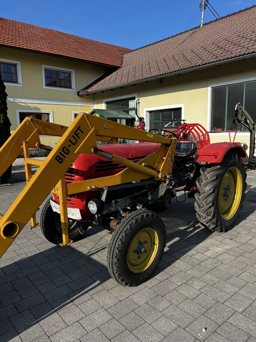 Oldtimer-Traktor типа Steyr 188, Gebrauchtmaschine в Pischelsdorf (Фотография 5)