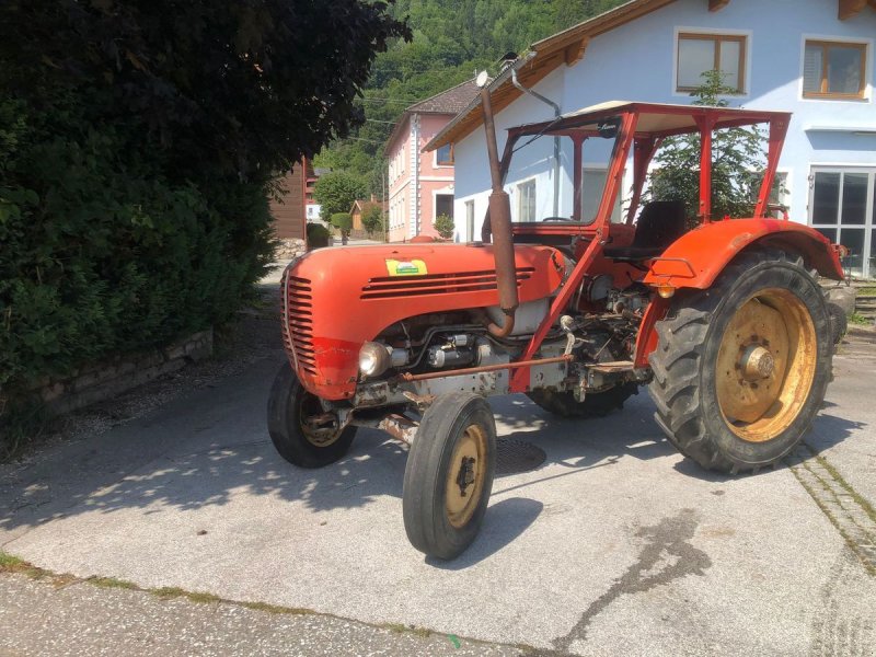 Oldtimer-Traktor des Typs Steyr 290, Gebrauchtmaschine in Stainach (Bild 1)