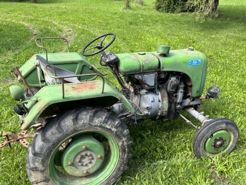 Oldtimer-Traktor a típus Steyr 80, Gebrauchtmaschine ekkor: Stainach (Kép 6)