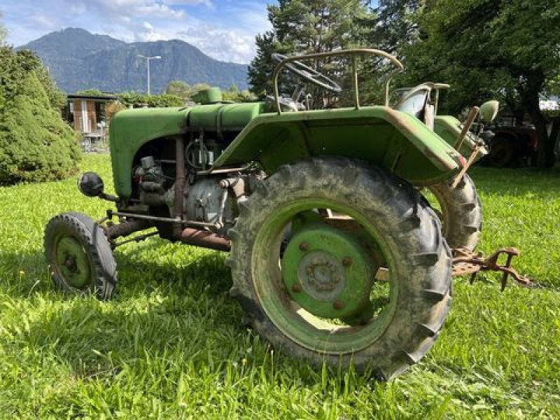 Oldtimer-Traktor du type Steyr 80, Gebrauchtmaschine en Stainach (Photo 1)