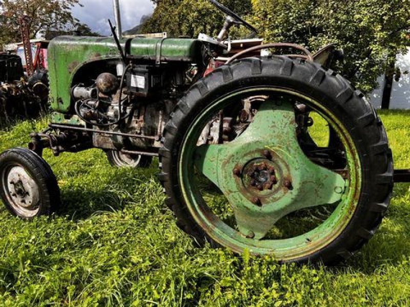 Oldtimer-Traktor tip Steyr 80, Gebrauchtmaschine in Stainach (Poză 5)