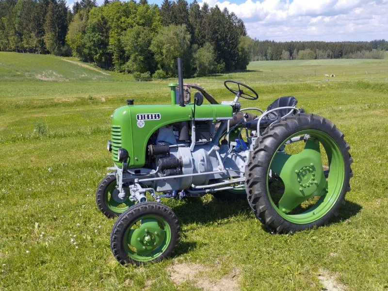 Oldtimer-Traktor tip Steyr 80, Gebrauchtmaschine in NATTERNBACH (Poză 1)