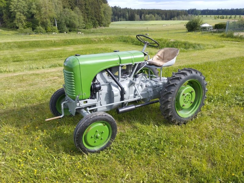 Oldtimer-Traktor typu Steyr 80, Gebrauchtmaschine v NATTERNBACH