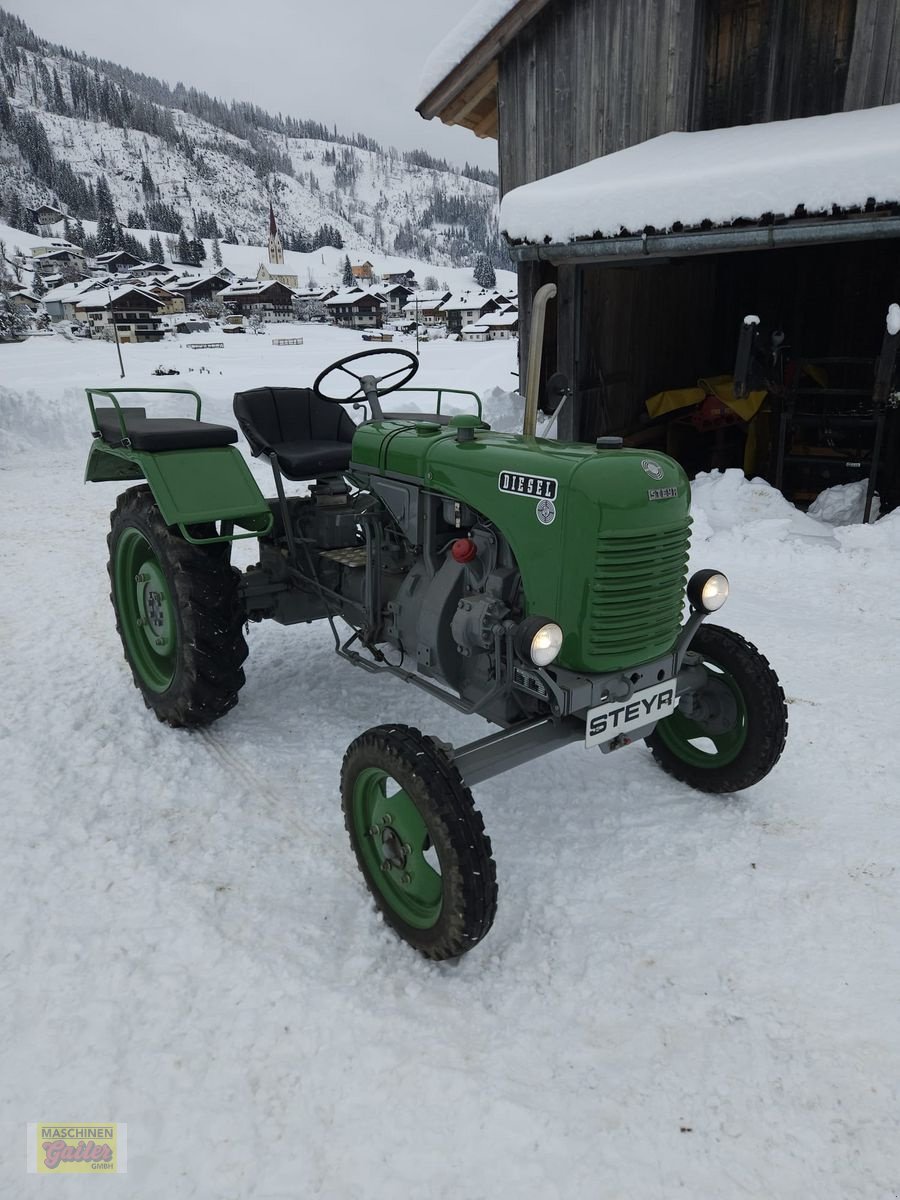 Oldtimer-Traktor от тип Steyr 80, Gebrauchtmaschine в Kötschach (Снимка 1)